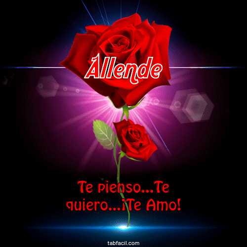 Te pienso...Te quiero...¡Te Amo! Allende