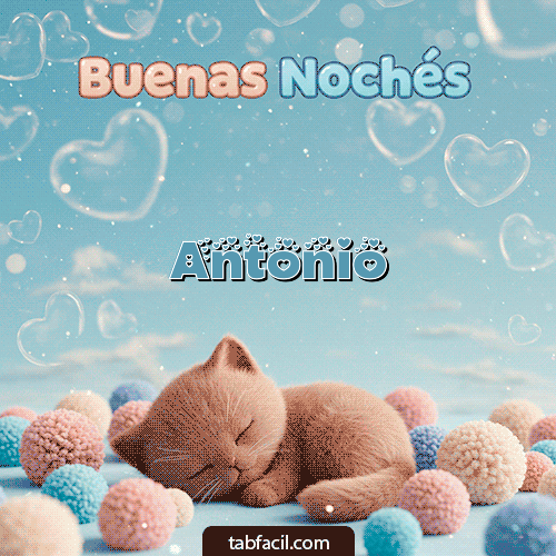 Good Night gatuno Buenas Noches Antonio