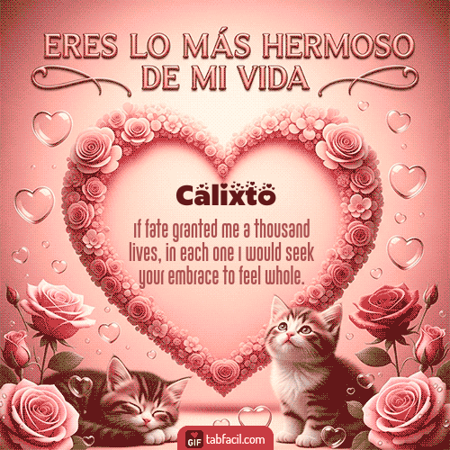 Tú eres lo más hermoso de mi vida Feliz Dia Amor Calixto
