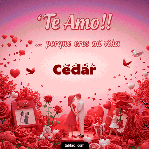 Te amo, porque eres mi vida Cedar