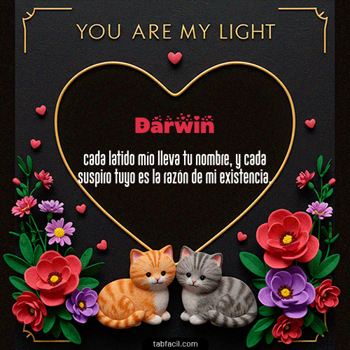 Gif Tú eres mi luz Feliz Dia Amor Darwin