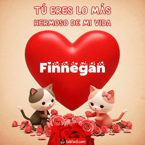 Tú eres lo más hermoso de mi vida Finnegan