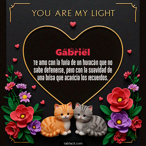 Ver GIF de Tú eres mi luz GIF de Gabriel - Tú eres mi luz