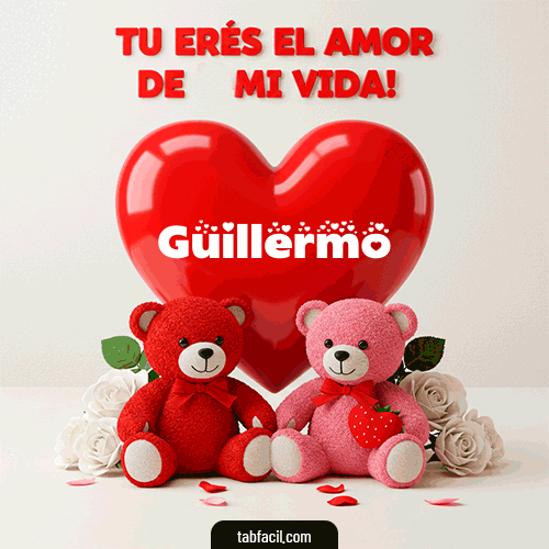 Tú eres el amor de mi vida Guillermo