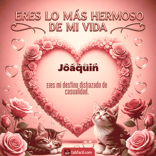 Ver GIF de Tú eres lo más hermoso de mi vida GIF de Joaquin - Tú eres lo más hermoso de mi vida