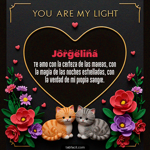 Tú eres mi luz Feliz Dia Amor Jorgelina