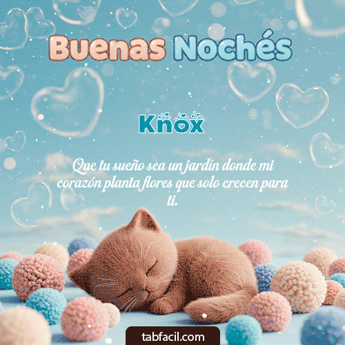 GIF Animado de Buenas Noches para Knox - Good Night gatuno