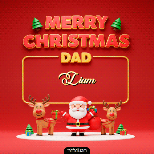 Merry Christmas DAD Feliz Navidad Liam
