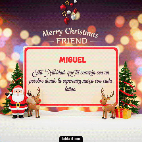 Merry Christmas Friend Feliz Navidad Miguel