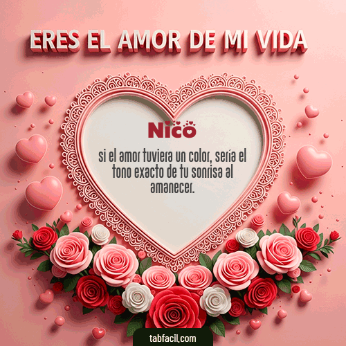 Tú eres el amor de mi vida Feliz Dia Amor Nico