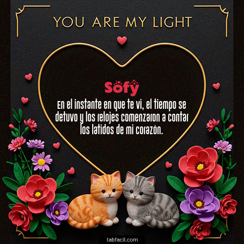 Tú eres mi luz Feliz Dia Amor Sofy