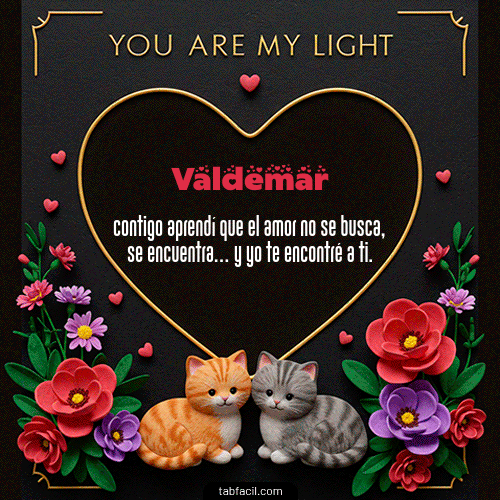Tú eres mi luz Feliz Dia Amor Valdemar