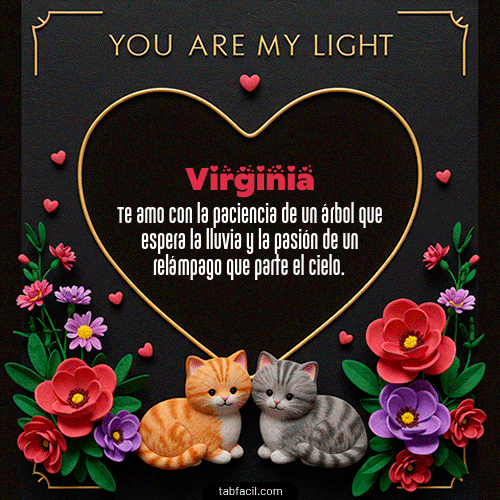 Tú eres mi luz Feliz Dia Amor Virginia