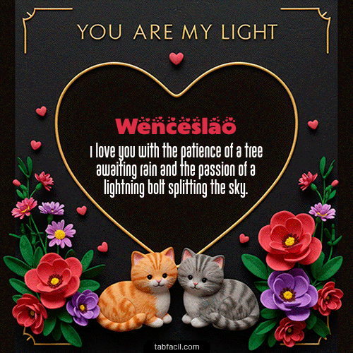 Gif Tú eres mi luz Feliz Dia Amor Wenceslao