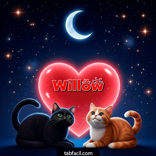 Good Night Love Buenas Noches Willow