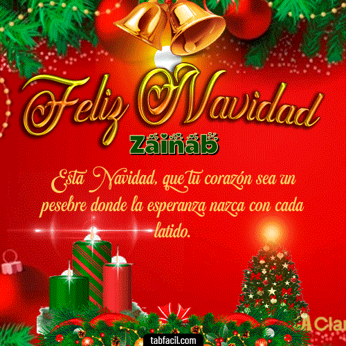 Feliz Navidad Zainab GIF