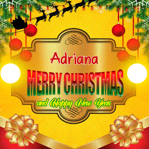 Merry Christmas And Happy New Year Adriana
