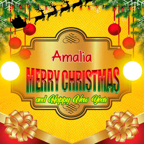 Merry Christmas And Happy New Year Amalia