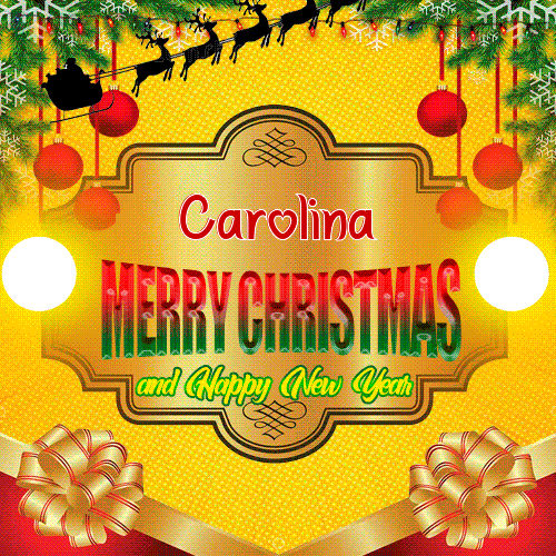 Merry Christmas And Happy New Year Carolina
