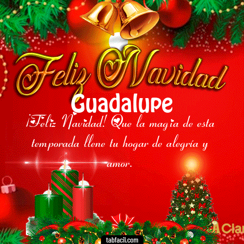 Feliz Navidad Guadalupe