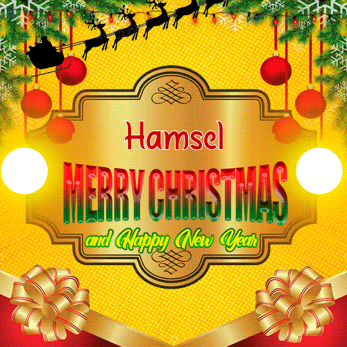 Gif Hamsel Merry Christmas And Happy New Year
