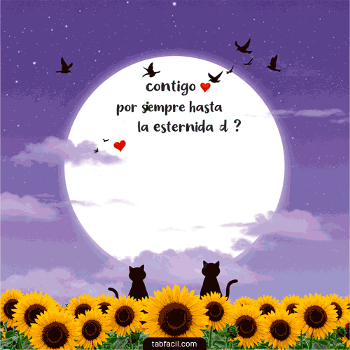 Plantilla GIF de Andrea