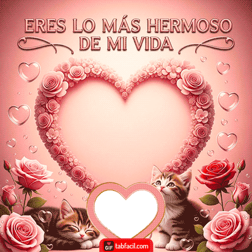 GIF de 